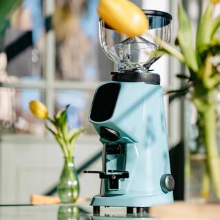 COFFEE GRINDER FIORENZATO AllGRAOUND SENSE BRIGHT SILVER DEEPBLACK F64